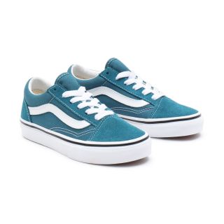 Youth Old Skool Shoes (8-14+ years)